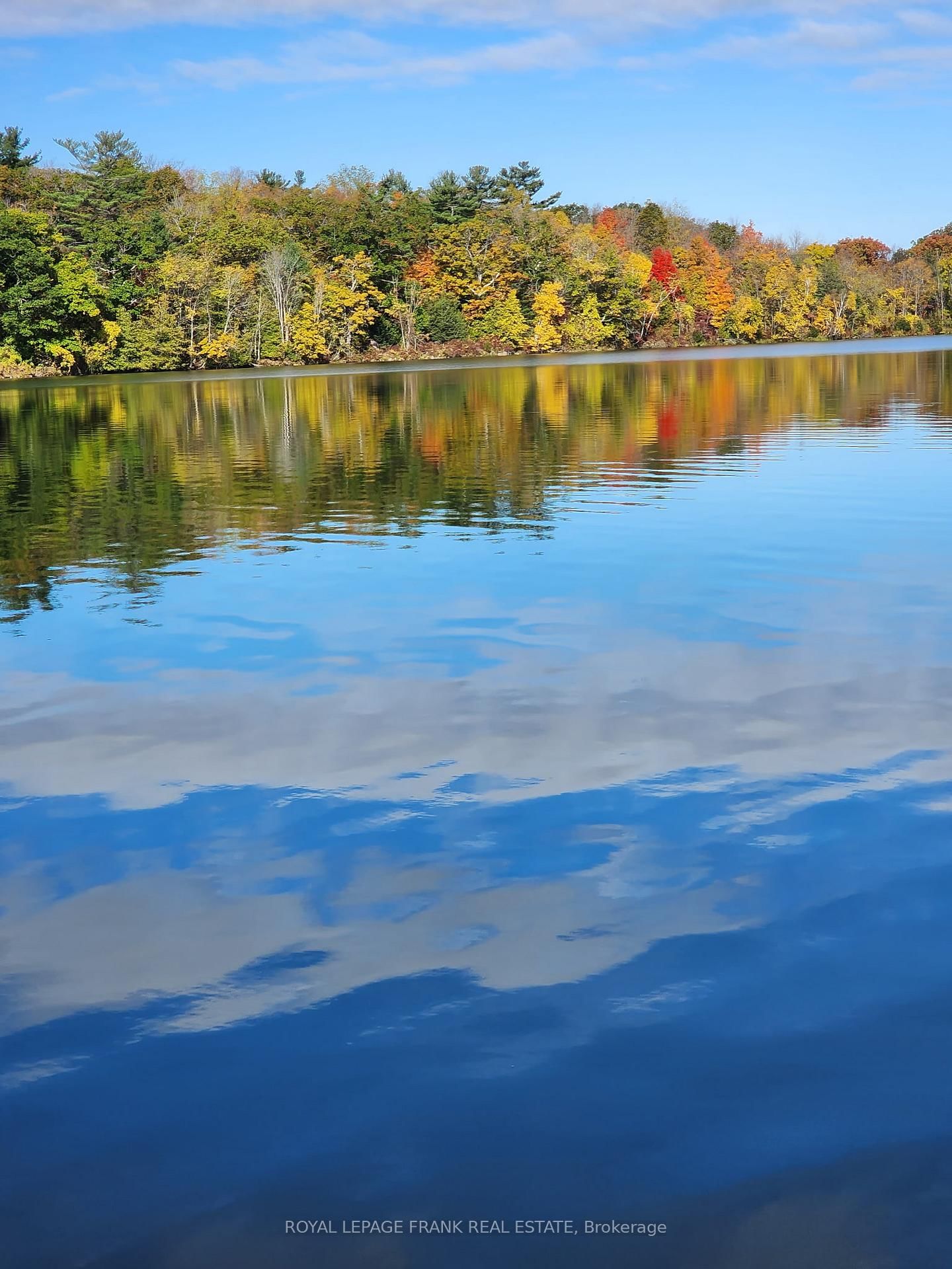 2A Whites Island • Alnwick/Haldimand, ON photo 4