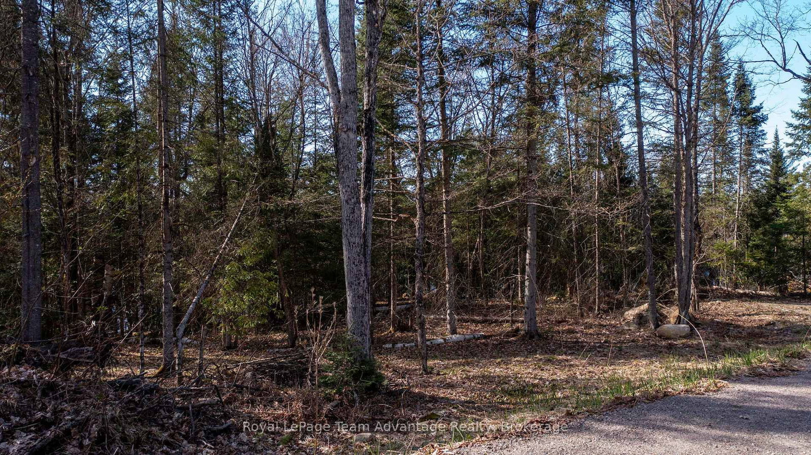 Lot 2 Greenwood Way • Whitestone, ON photo 11