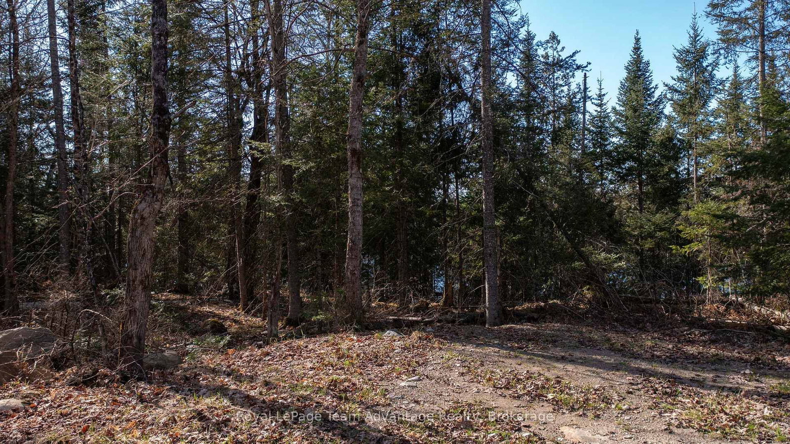 Lot 2 Greenwood Way • Whitestone, ON photo 18