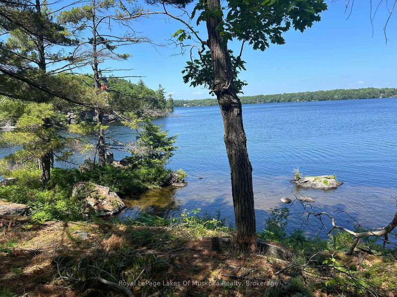 LOT 1 Bala Park Island, Muskoka Lakes, Ontario