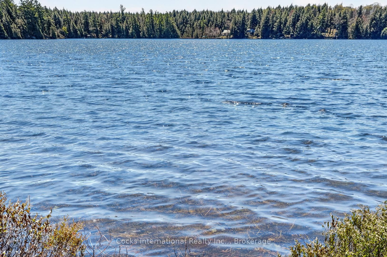 1165 Spring Lake Road • Bracebridge, ON photo 11