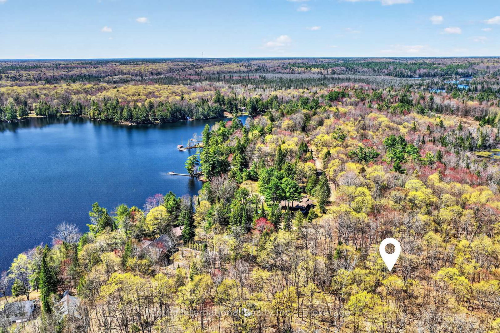1165 Spring Lake Road • Bracebridge, ON photo 2