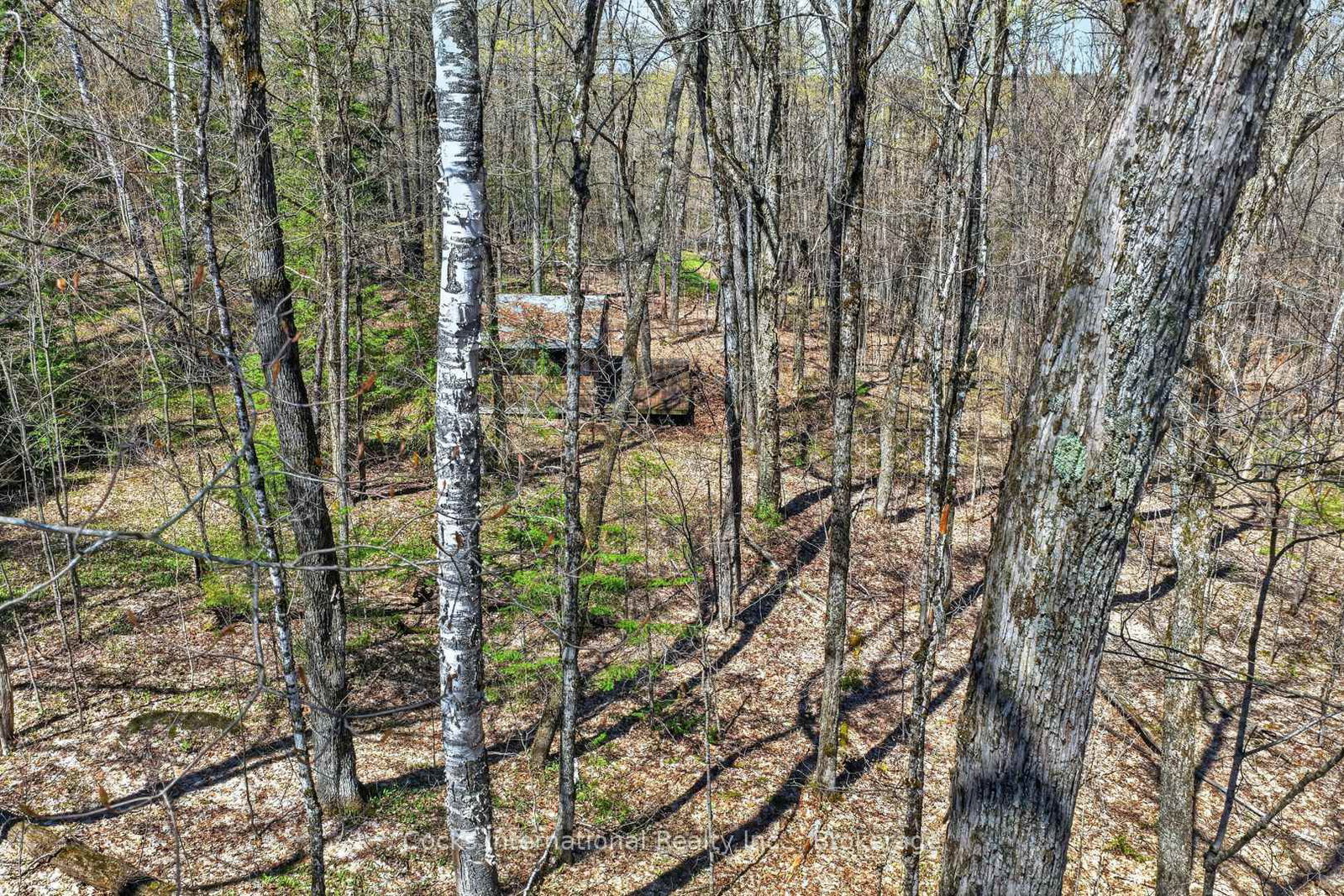 1165 Spring Lake Road • Bracebridge, ON photo 22