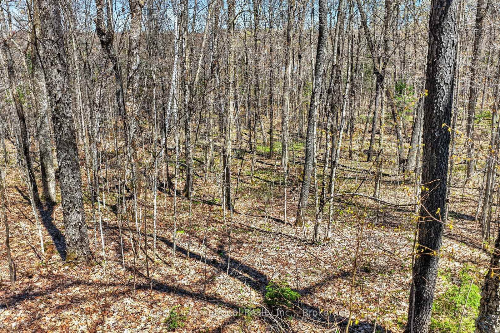 1165 Spring Lake Road • Bracebridge, ON photo 26