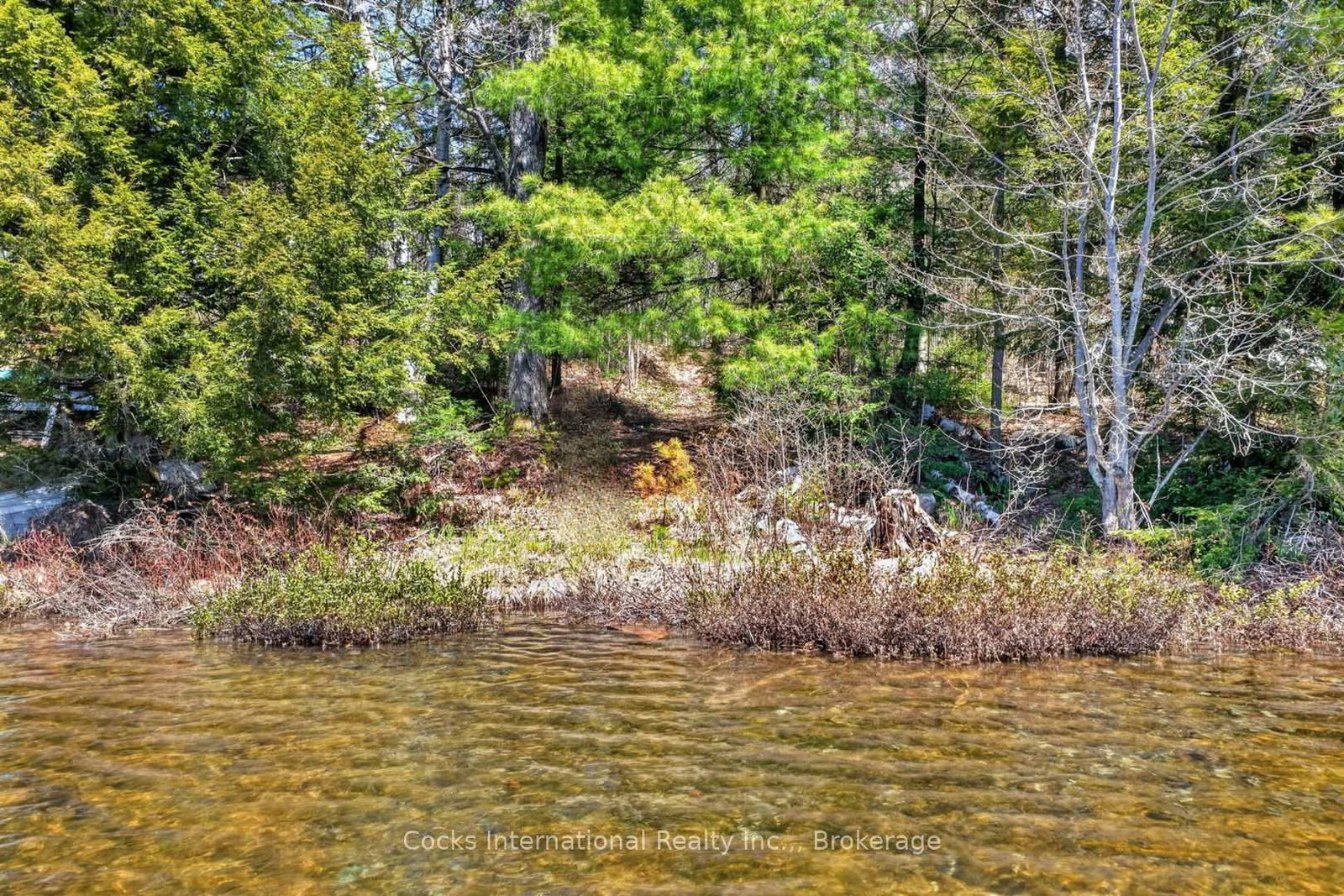 1165 Spring Lake Road • Bracebridge, ON photo 3