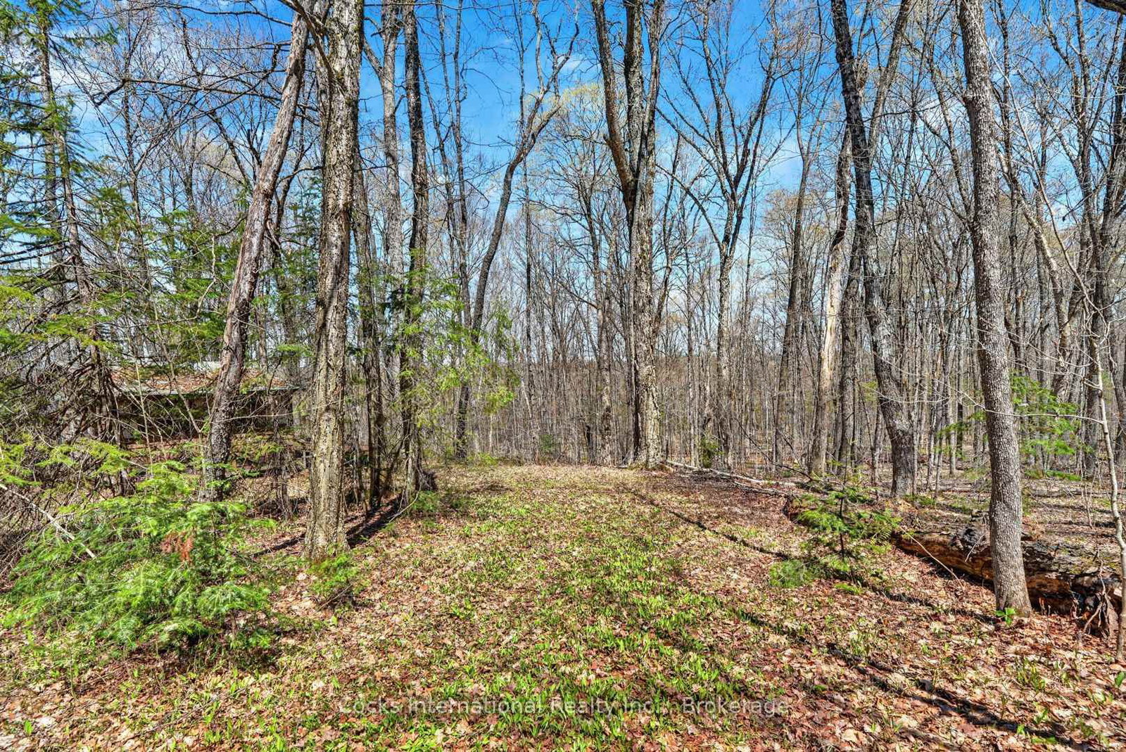 1165 Spring Lake Road • Bracebridge, ON photo 36