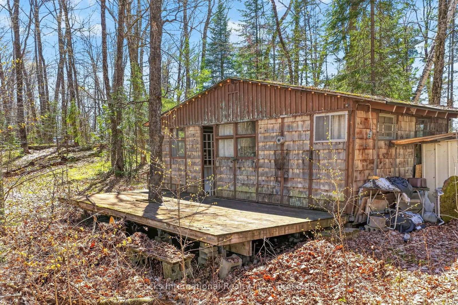 1165 Spring Lake Road • Bracebridge, ON photo 4