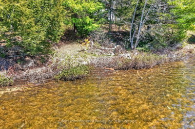 1165 Spring Lake Road • Bracebridge, ON photo 7