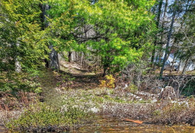 1165 Spring Lake Road • Bracebridge, ON photo 8