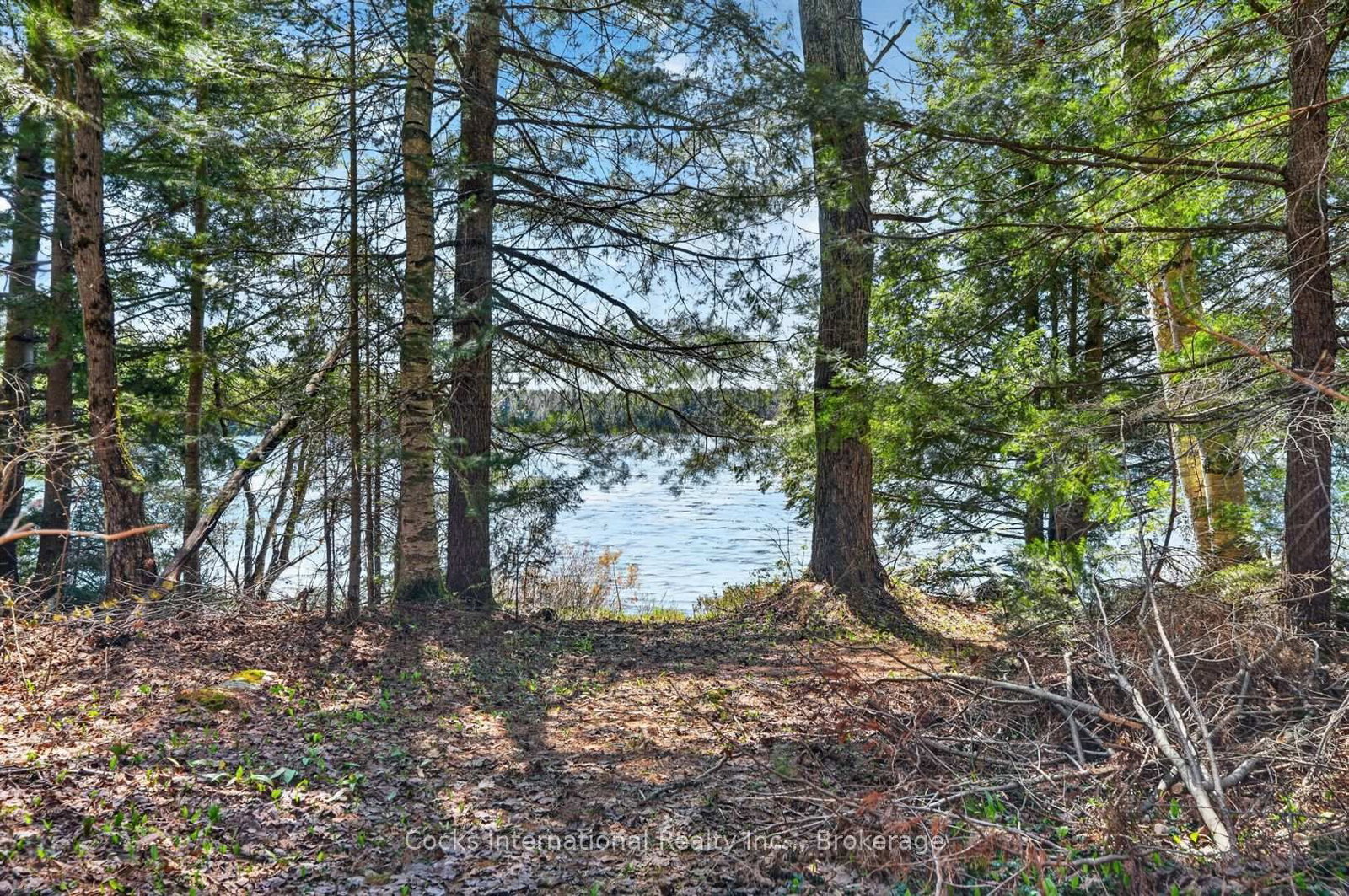 1165 Spring Lake Road • Bracebridge, ON photo 9