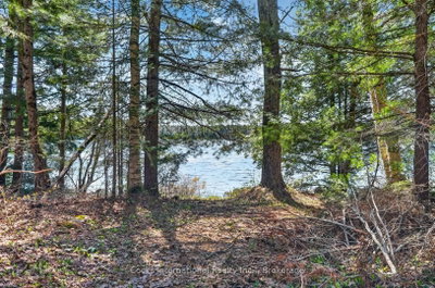 1165 Spring Lake Road • Bracebridge, ON photo 9