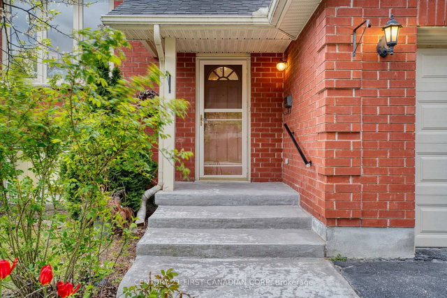 293 Blue Forest Drive
