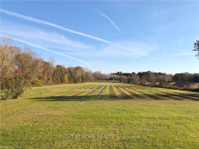 1938 Turkey Point Road