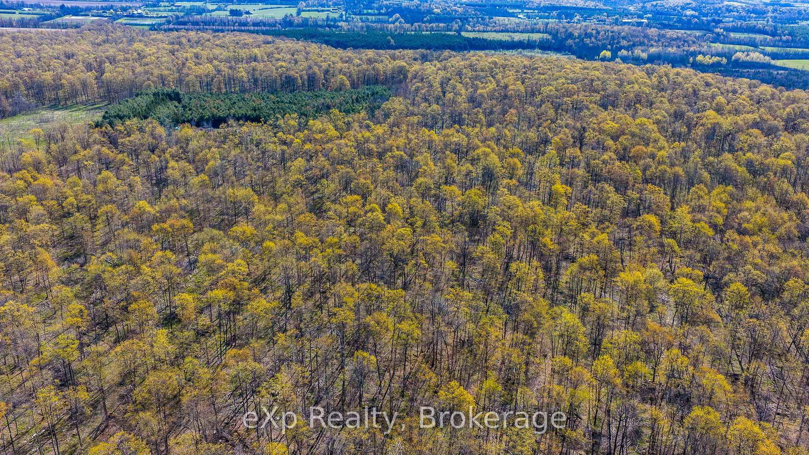PT LT 14 2nd Concession Road N • Meaford, ON photo 17