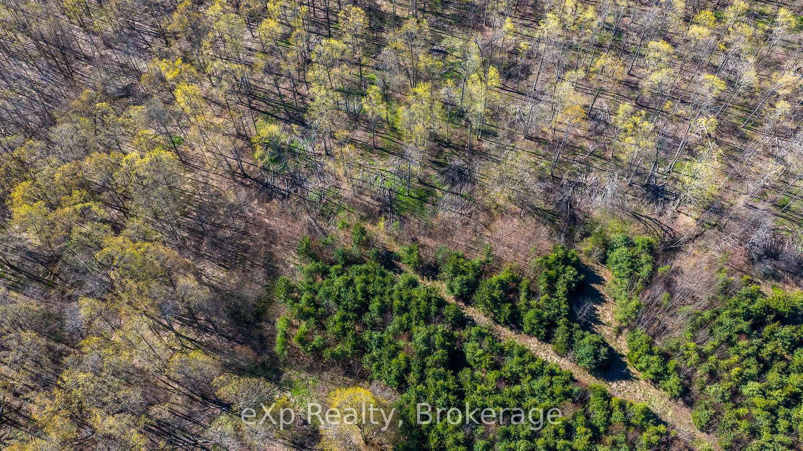 PT LT 14 2nd Concession Road N • Meaford, ON photo 19