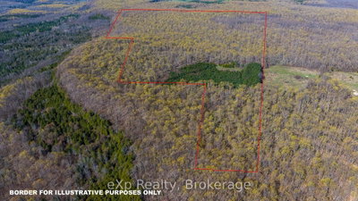 PT LT 14 2nd Concession Road N — photo 2