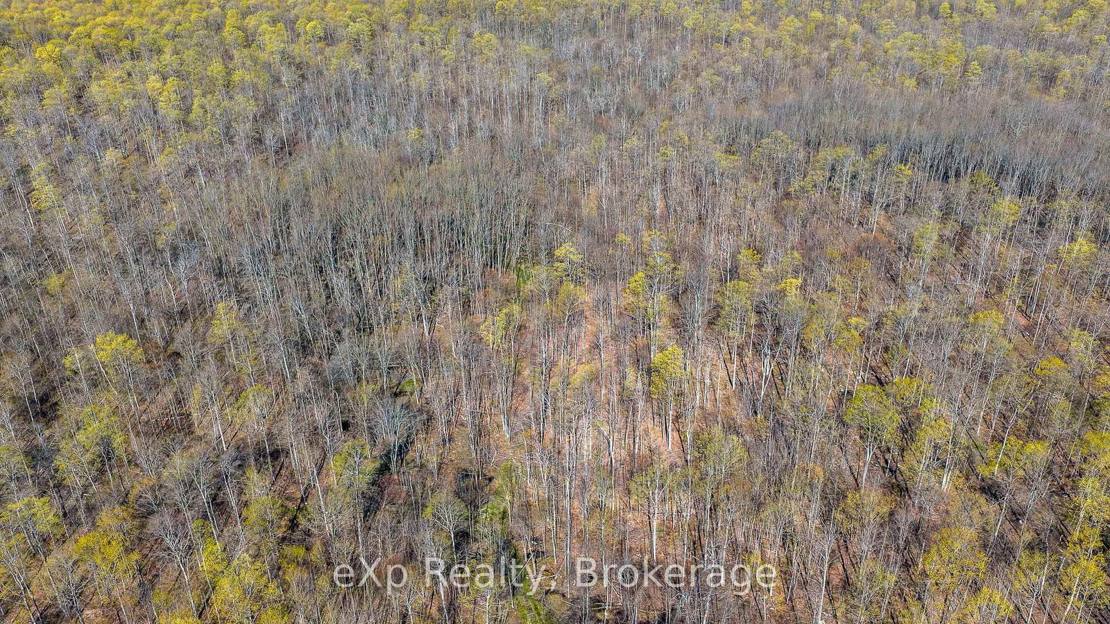 PT LT 14 2nd Concession Road N • Meaford, ON photo 21