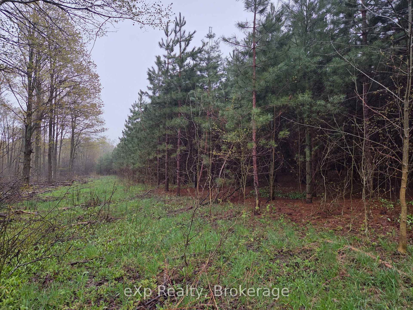 PT LT 14 2nd Concession Road N • Meaford, ON photo 8