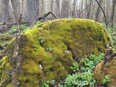 PT LT 14 2nd Concession Road N • Meaford, ON photo 9