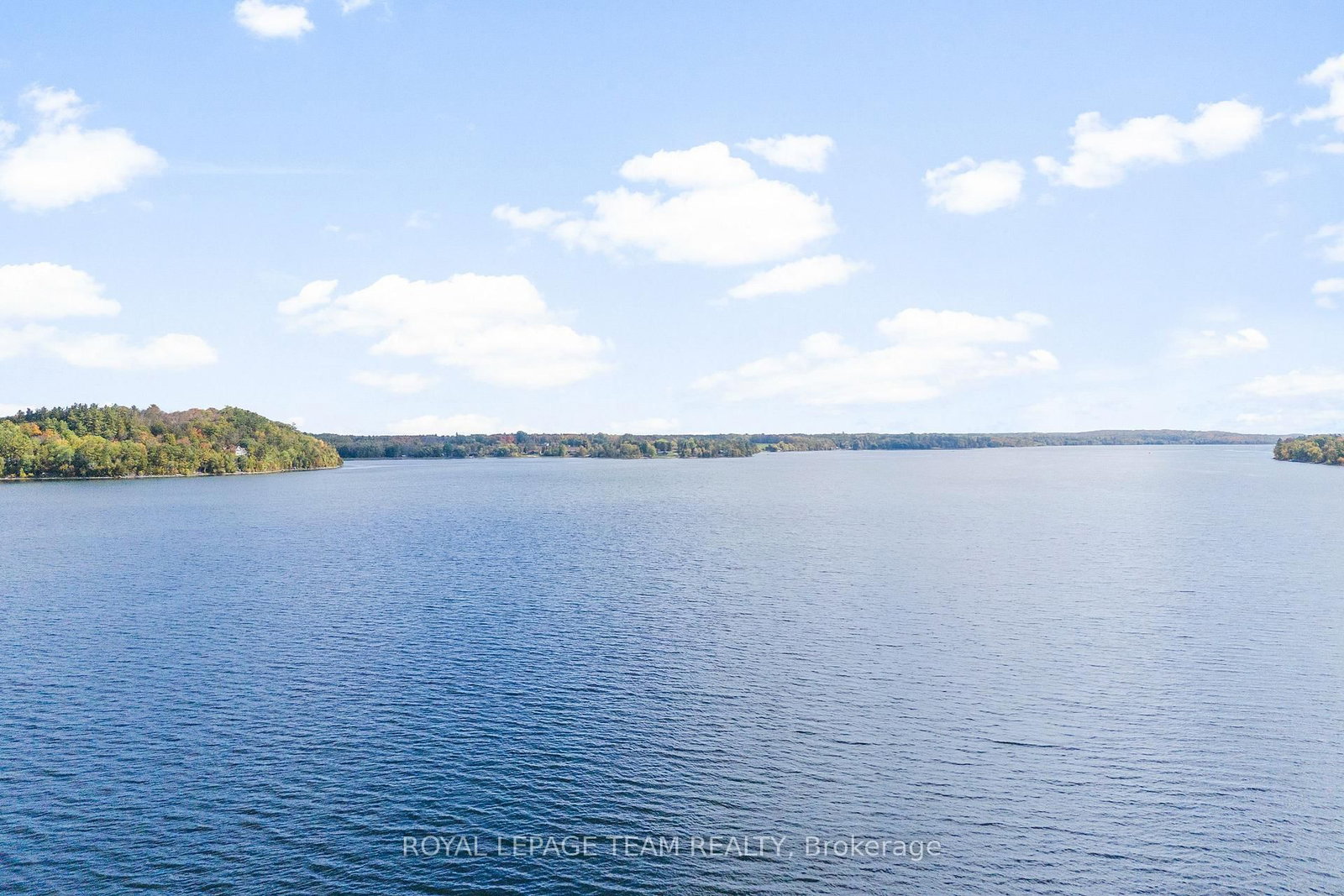 231 Finnerty Road • Cobden, ON photo 3