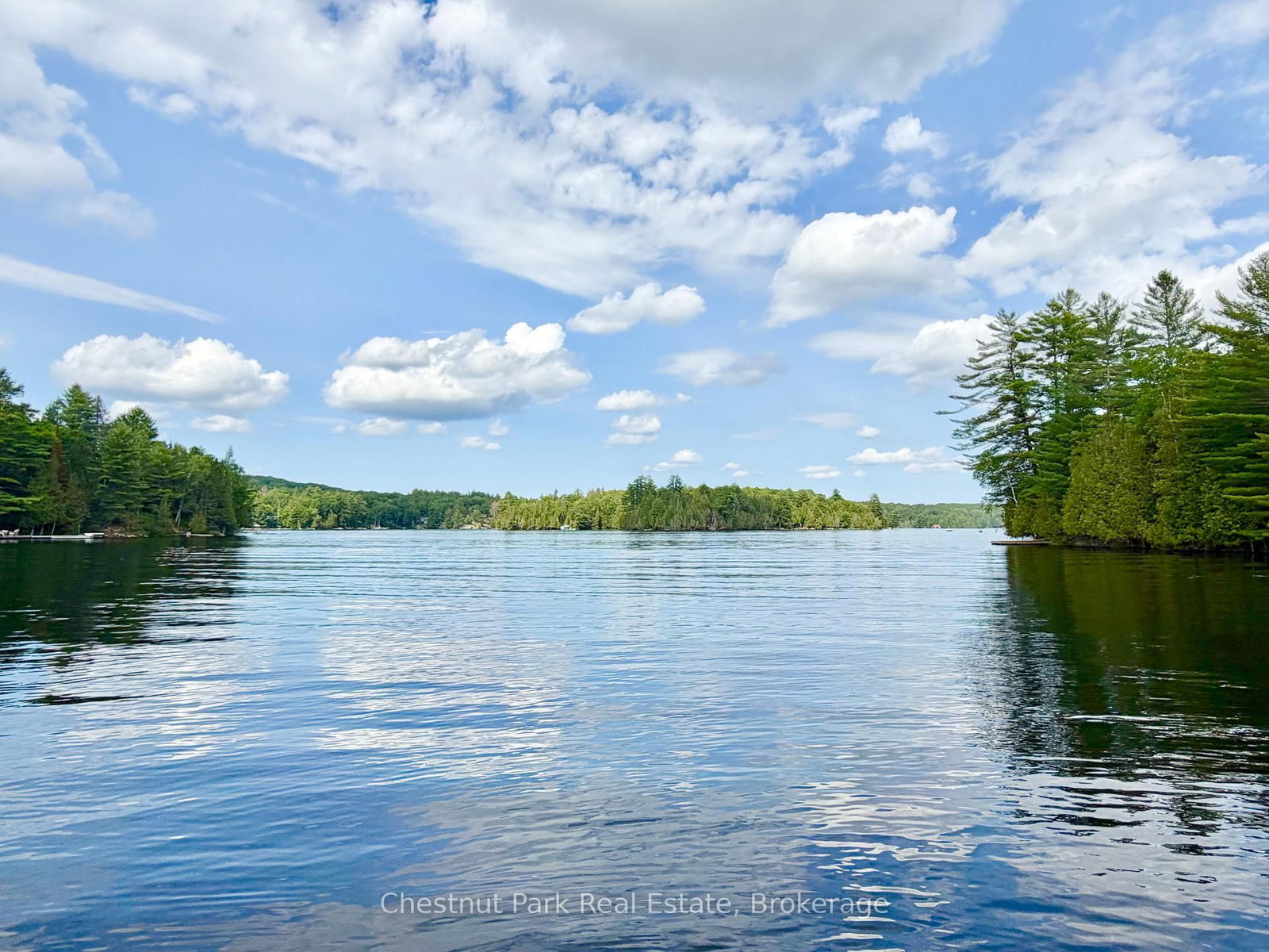 10453 County Road 503 Road • Highlands East, ON photo 11