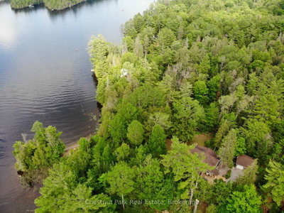 10453 County Road 503 Road • Highlands East, ON photo 3