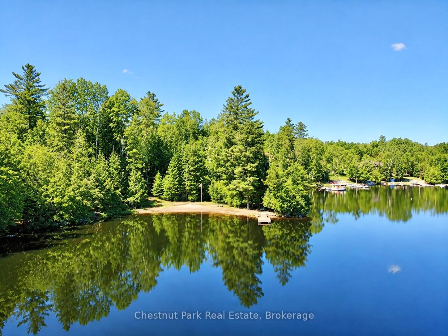 10453 County Road 503 Road • Highlands East, ON photo 5
