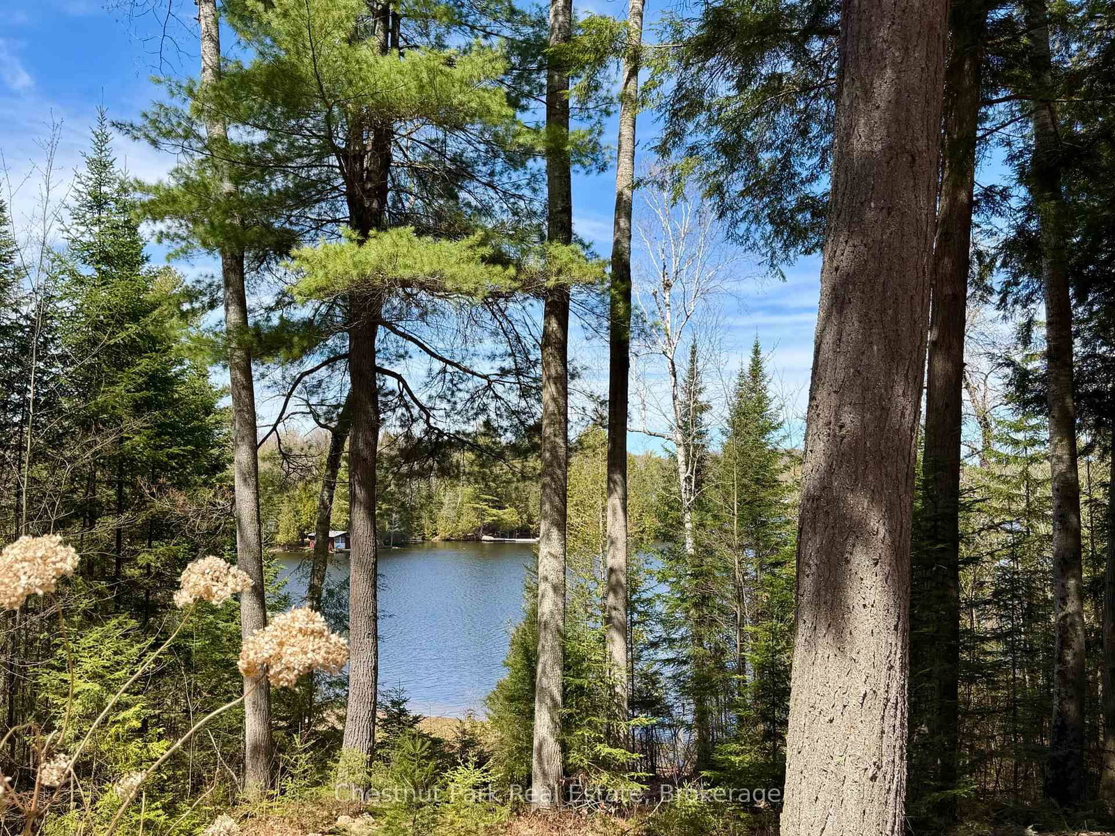 10453 County Road 503 Road • Highlands East, ON photo 50