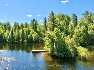 10453 County Road 503 Road • Highlands East, ON photo 9