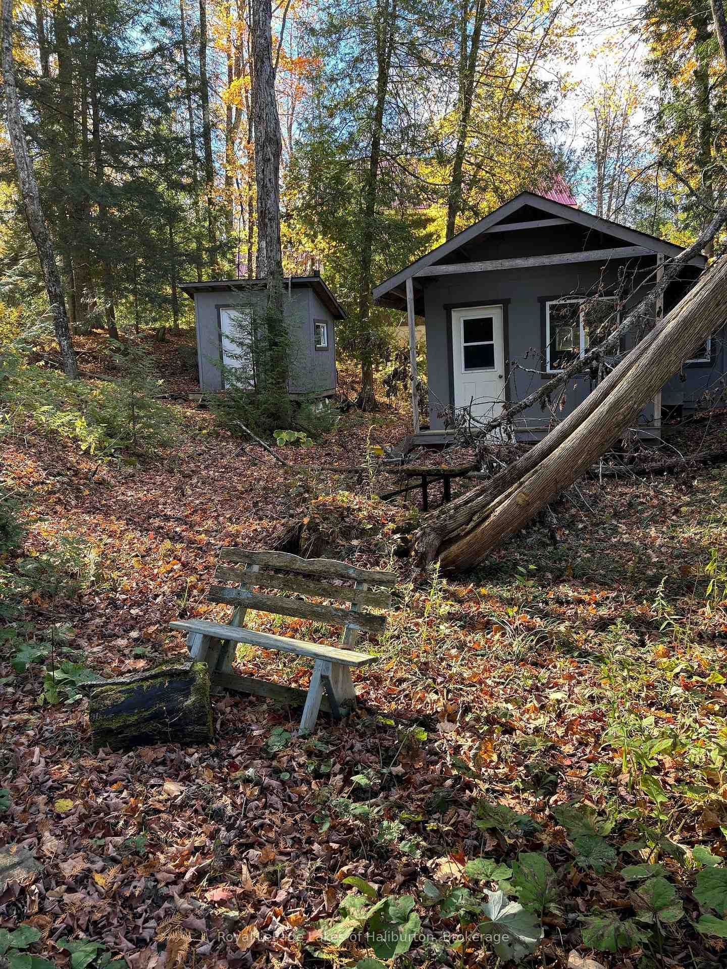 Listing Image 11