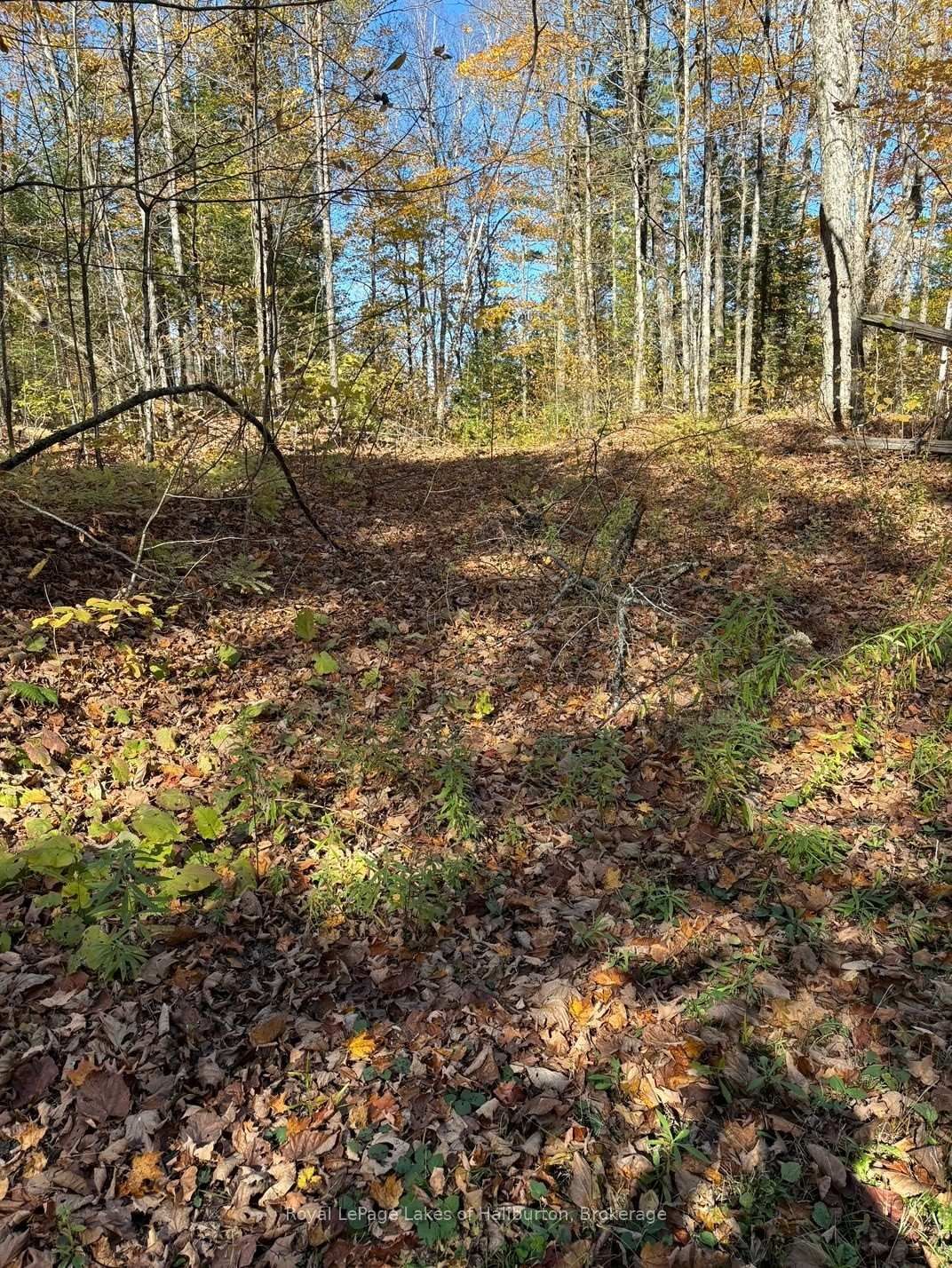 Listing Image 21