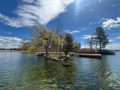 Island 17A Island • Front of Leeds & Seeleys Bay, ON photo 8