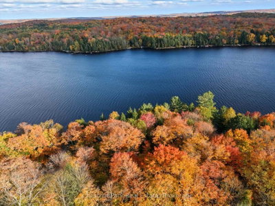0 North Menominee Lake Road • Lake of Bays, ON photo 6
