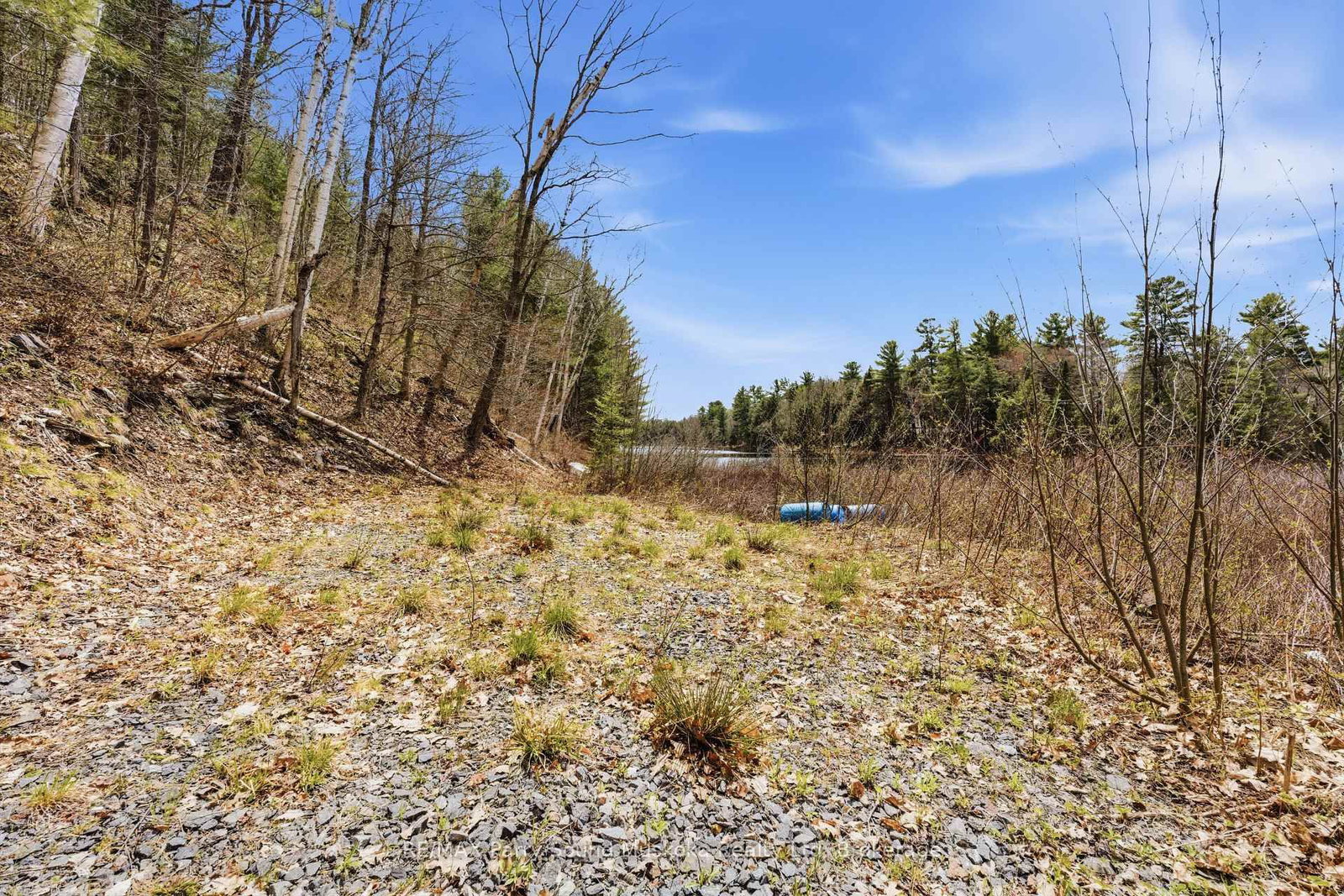 25 LAKE RIDGE Road • McDougall, ON photo 12