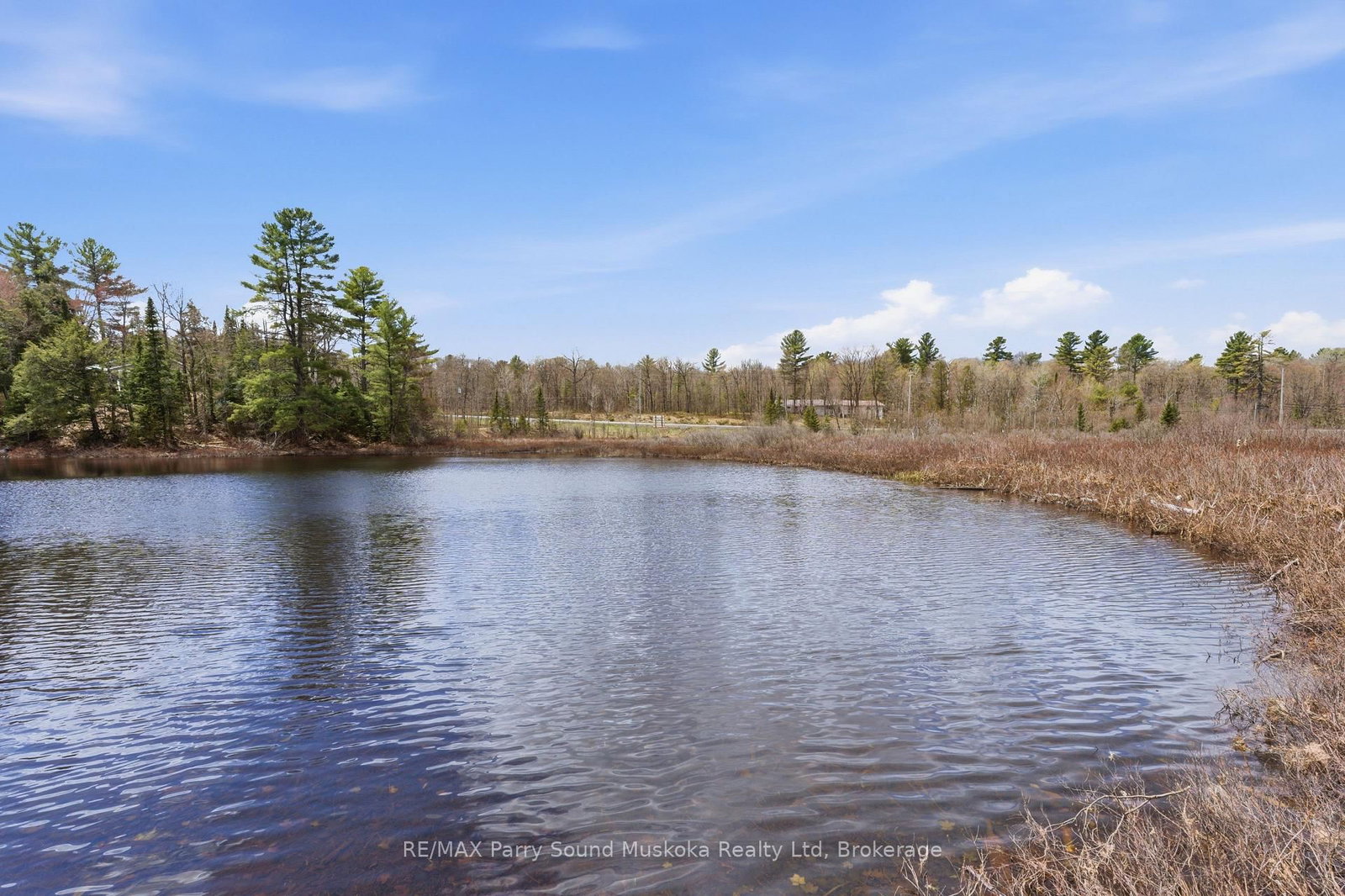 25 LAKE RIDGE Road • McDougall, ON photo 3