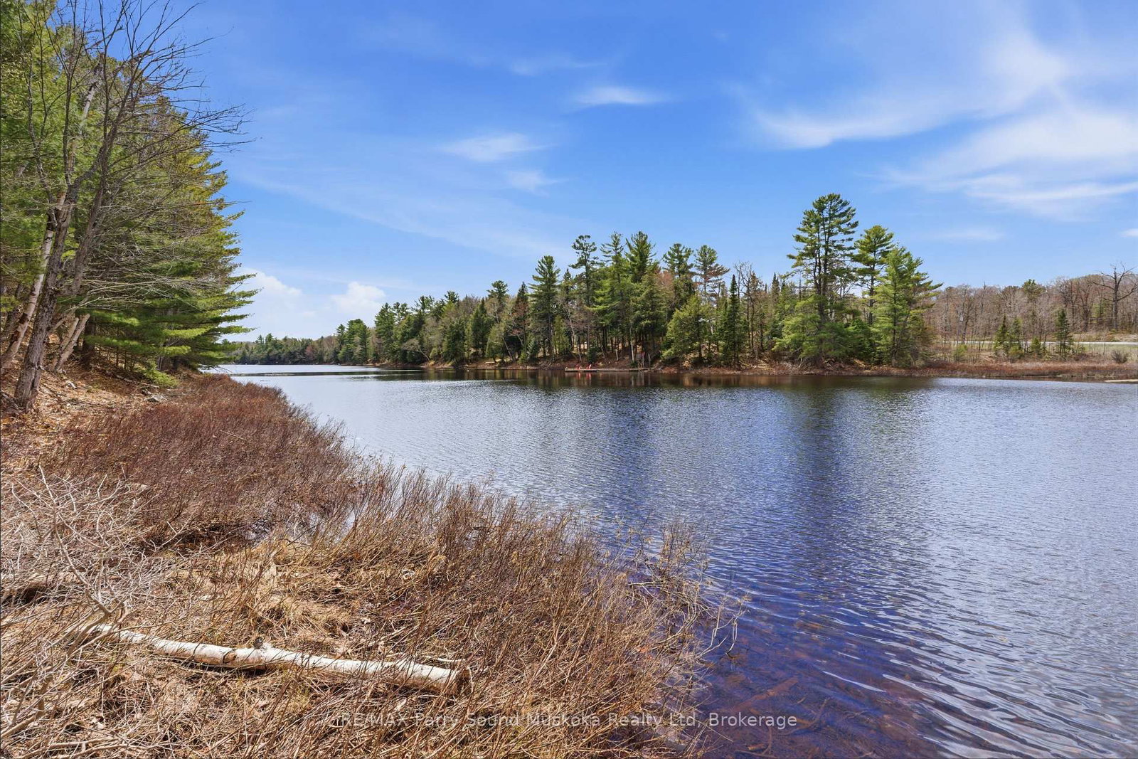 25 LAKE RIDGE Road • McDougall, ON photo 4