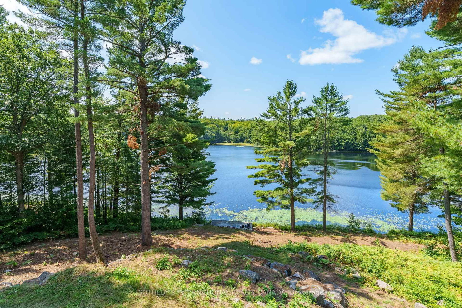 49 Estates Drive • Muskoka Lakes, ON photo 17