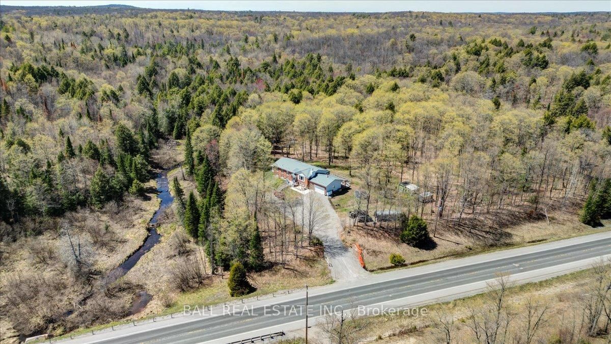 12482 Highway 28 • North Kawartha, ON photo 8