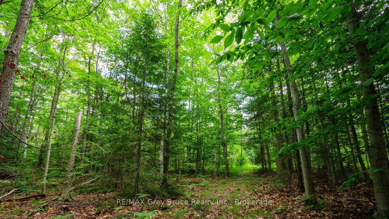 Part 1 Tammy's Cove Road • Northern Bruce Peninsula, ON photo 8