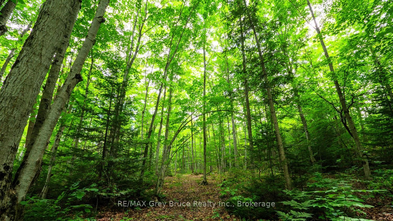 Part 1 Tammy's Cove Road • Northern Bruce Peninsula, ON photo 9