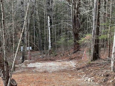 LOT 27 BUSHWOLF LAKE Road — photo 5