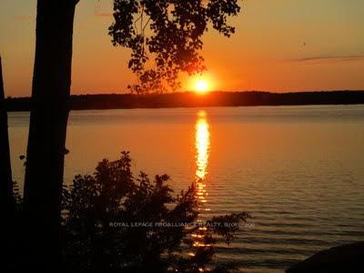 486 County Road 104 Cherry Beach Lane • Prince Edward County, ON photo 35