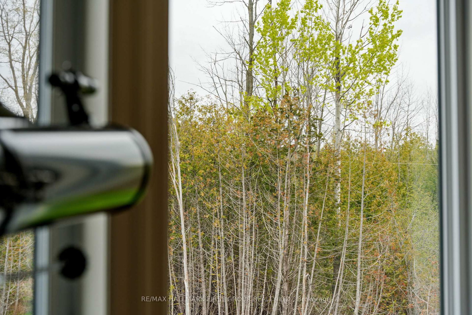 269 Lawson Settlement Road • Brighton, ON photo 31