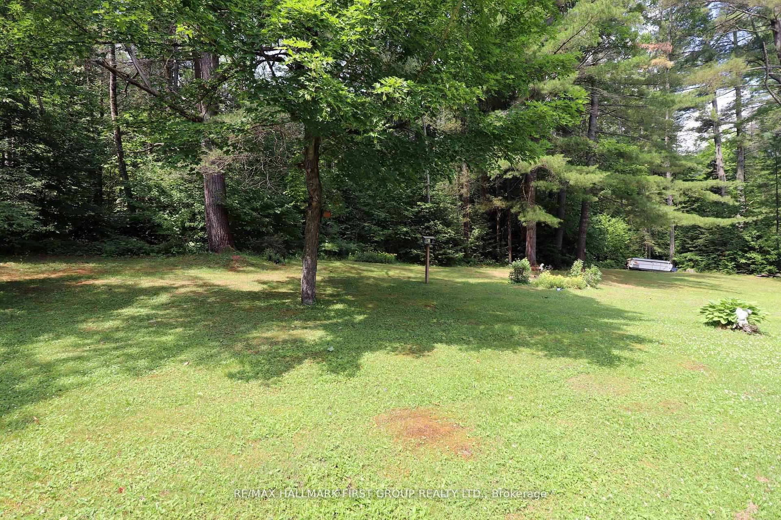 18120 Highway 41 • Cloyne, ON photo 11