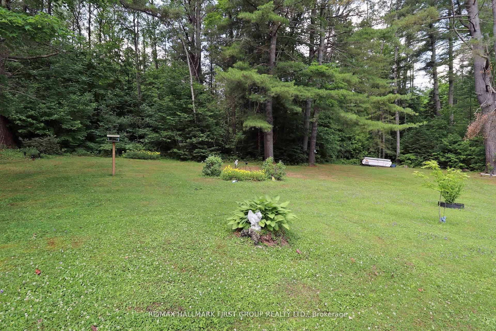 18120 Highway 41 • Cloyne, ON photo 13