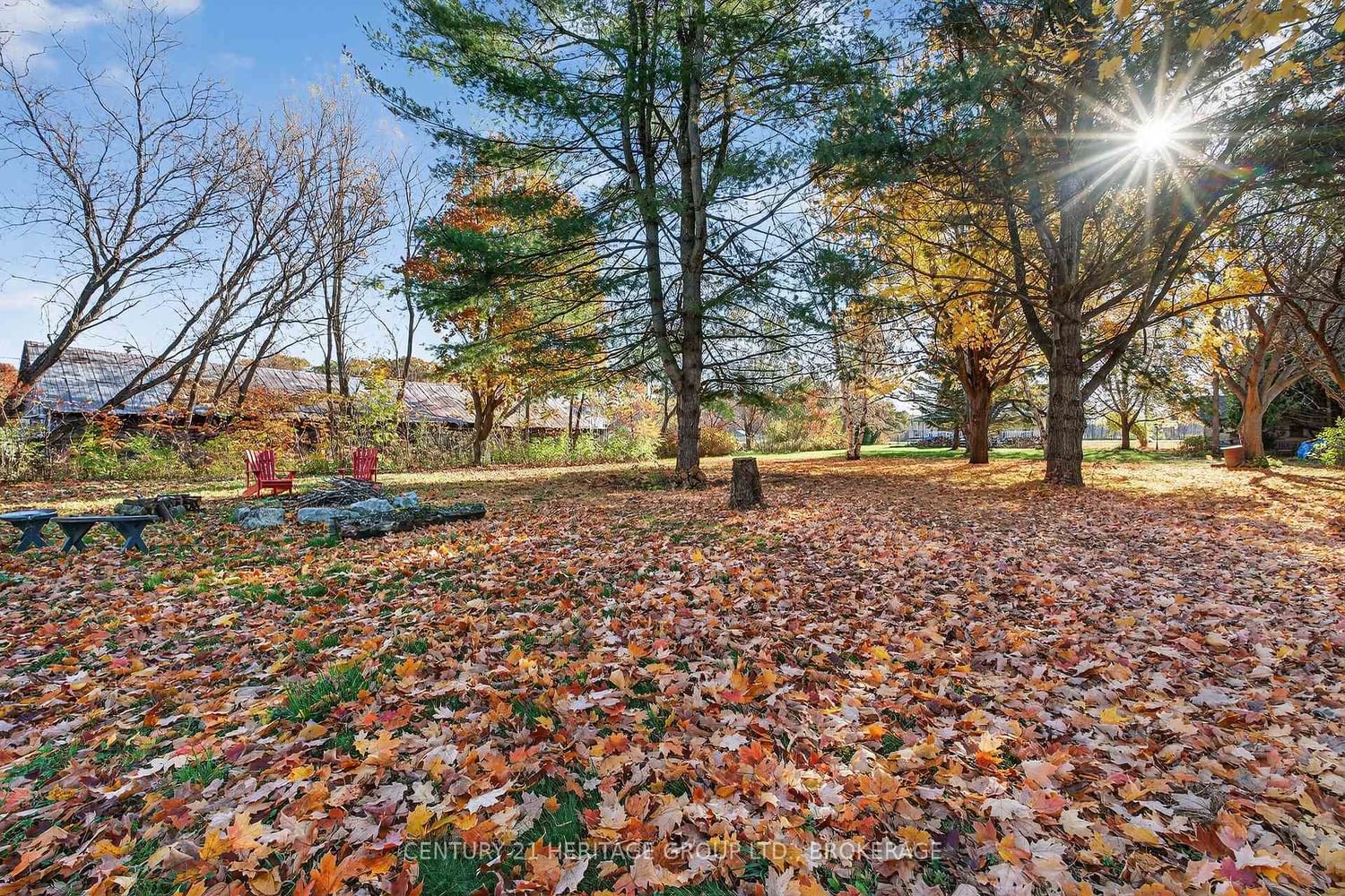13 WILLIAM Street • Rideau Lakes, ON photo 45
