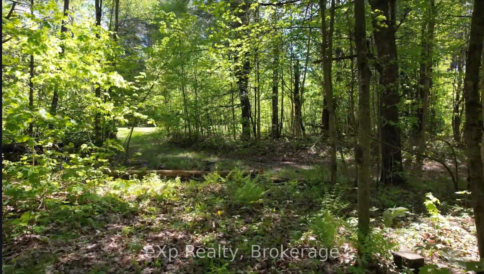 26 Magnet Road • Magnetawan, ON photo 10