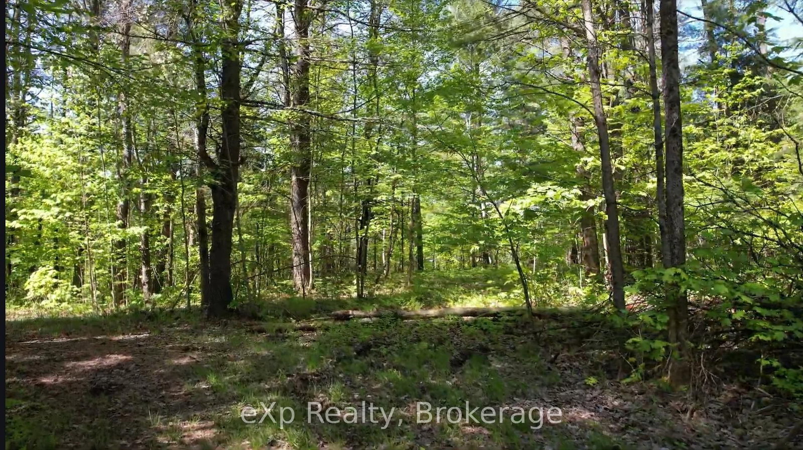 26 Magnet Road • Magnetawan, ON photo 8
