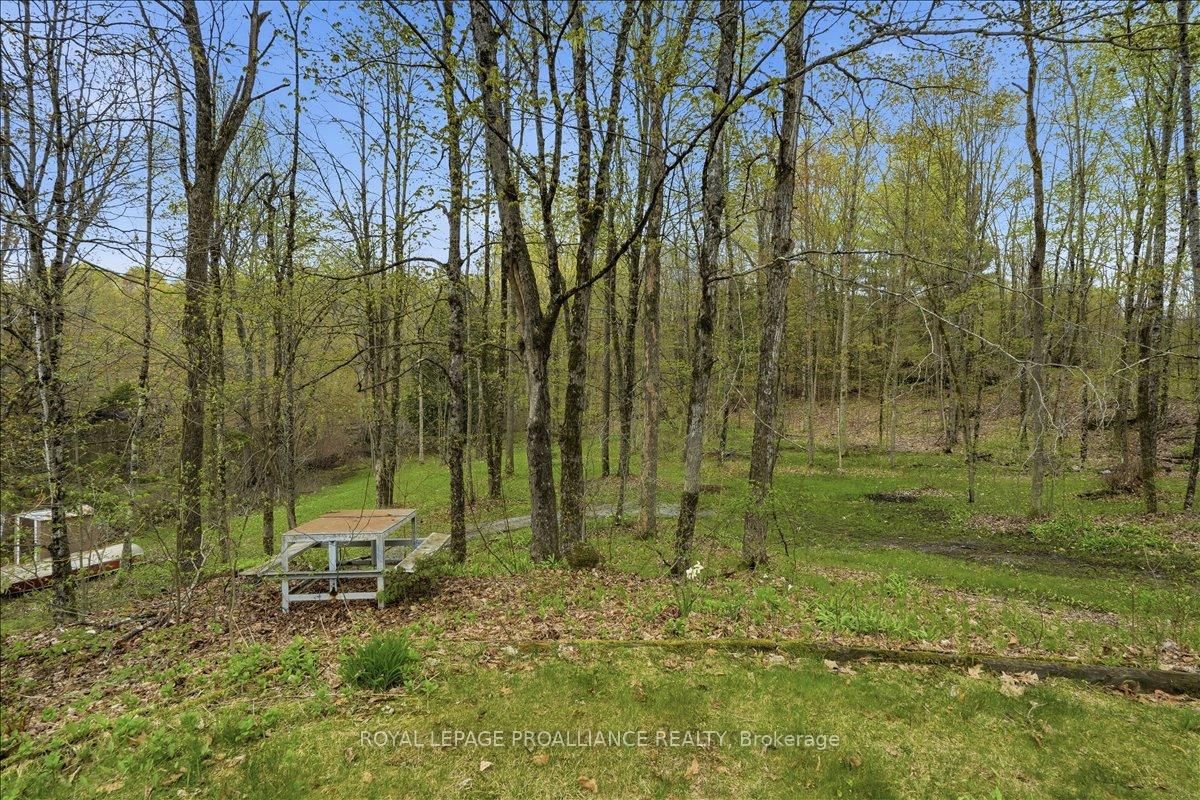 606 Black River Road • Tweed, ON photo 29