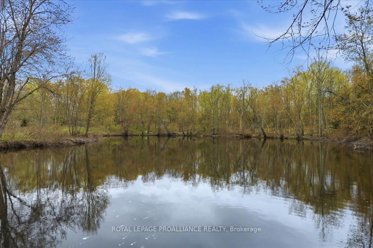 606 Black River Road • Tweed, ON photo 37